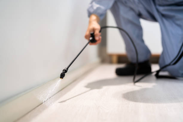 Professional exterminator conducting IPM assessment in Edinburgh