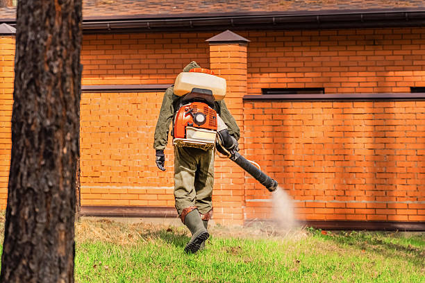 Top rated local Wasp Removal specialists in Edinburgh, IN